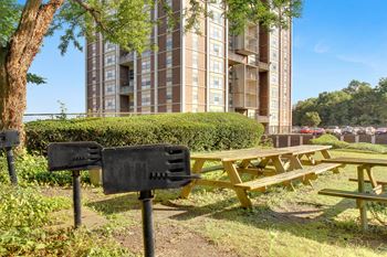 Picnic area with tables and charcoal grills